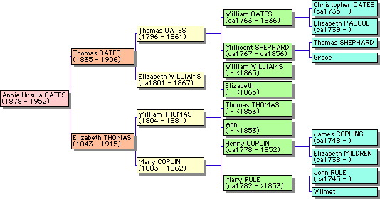 Pedigree or Mary Ann Ward