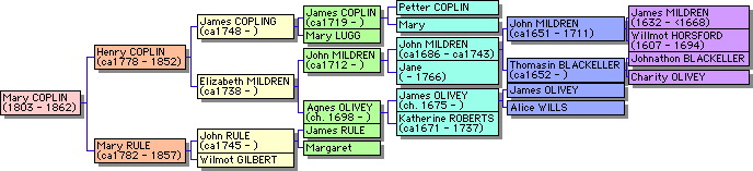 Pedigree of May Coplin
